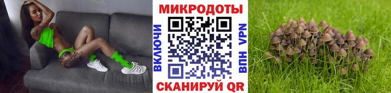 Псилоцибиновые грибы Magic Shrooms  цены наркотик  ссылка на мегу зеркало  Далматово 